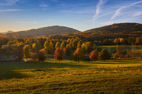 Gemeinde Lindberg Landkreis Regen Buchenau Schachtenwanderweg Herbst (Dirschl Johann) Deutschland REG